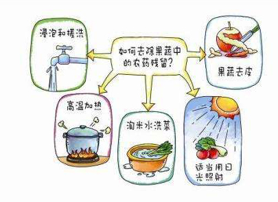 如何減少農(nóng)藥污染去除農(nóng)藥殘留？振華化工總結(jié)以下幾點分享給大家